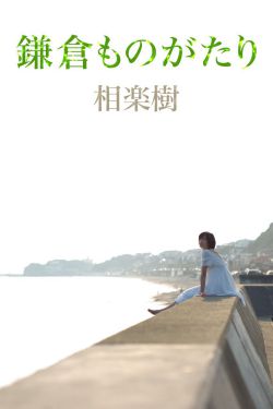 特种兵火风凰